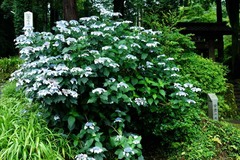 120622���һ�����������