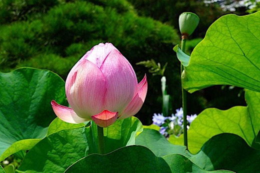 240703�ܳл��ϥ�