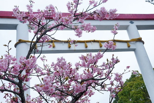 150308���ҵܥ���ť�����