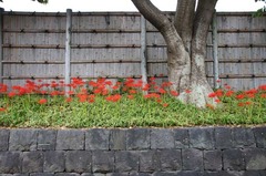 111001ȬȨ�ܥҥ���Х�