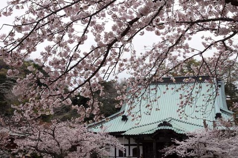 110410������������