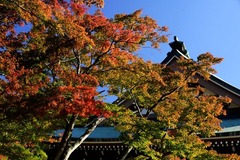 141119�߳л�����2