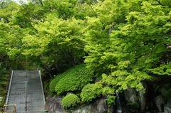 120425Ĺë������