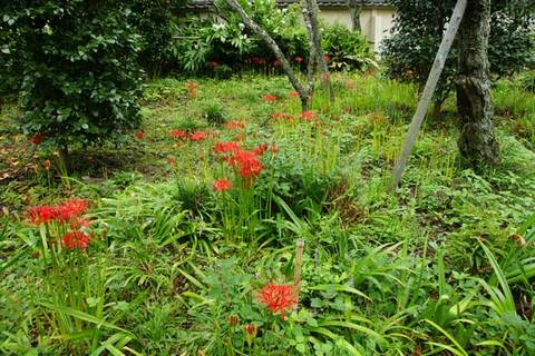 090915�Ѿ����ҥ���Х�