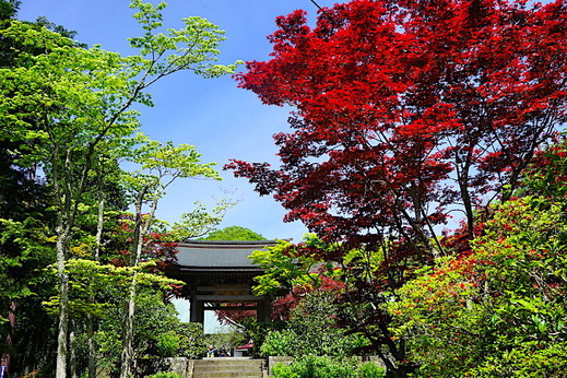 190428��¢��1