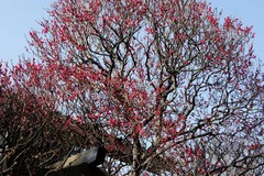 DSC01695web