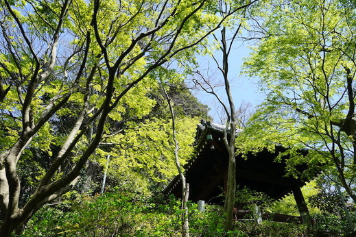 190406̯ËÜ»û¿·ÎÐ