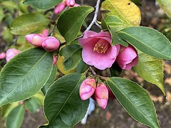 240217�繪���ĥХ�1