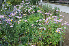 081109��Ļ��Υ���2