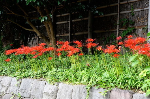 150920�ᲬȬȨ�ܥҥ���Х�1