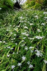 070411̯�ܻ����㥬