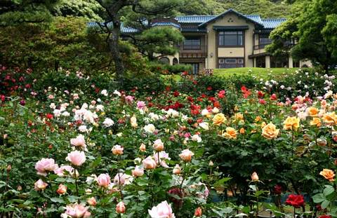 090517����ʸ�شۥХ�2