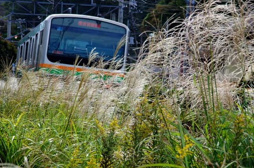 111016���ܲ�������