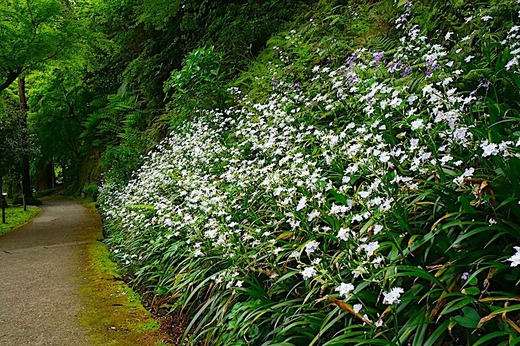 240421���һ����㥬2