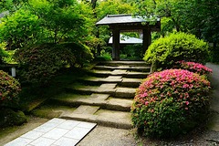 240607���һ����ĥ�