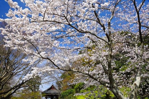 150329̯�ܻ������飲