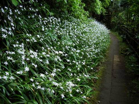 100503�̳��ҥ��㥬