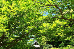 170511̯�ܻ�����2