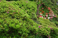 120430ʩ�Ի��ĥĥ�3