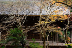 161214̯�ܻ�����5