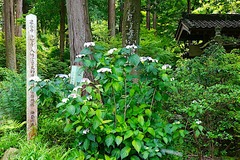 240607���һ���������1