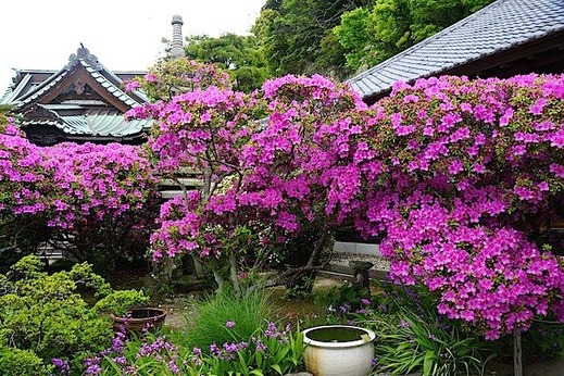 150505���ܱ��ĥĥ�2