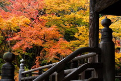 151213̯�ܻ�����4