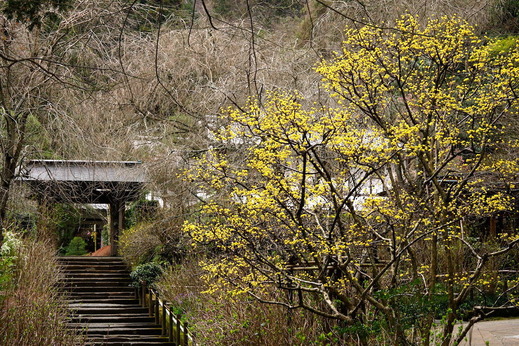 170323������󥷥��