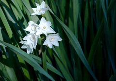 120131��������������1