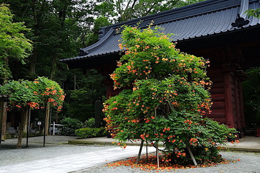 190713̯�ܻ��Υ����󥫥���