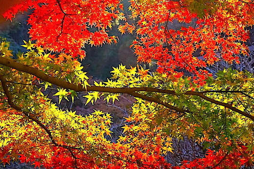 211211̯�ܻ�����3