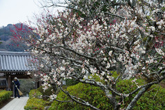 130215��̯������2