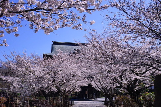 190404��Ĺ��������2