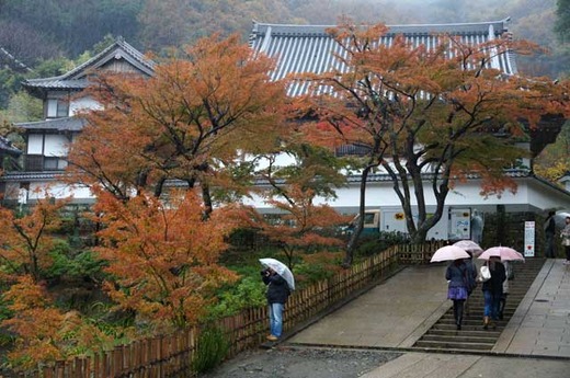 111203�߳л�����5