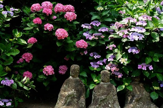 140626���ܱ���������