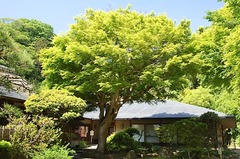 150510���һ�����