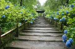 130614�����������