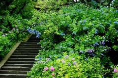 120622��Ļ�����������