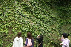 110618Åì·Ä»û¥¤¥ï¥¿¥Ð¥³2