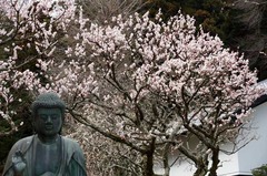 110316��Ļ�����2