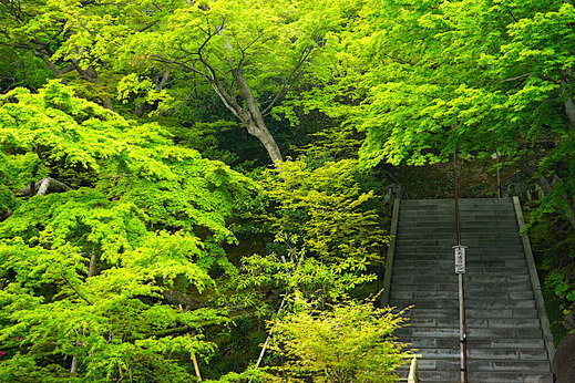 210406Ĺë������1