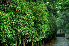 141001̯�ܻ�����⥯����