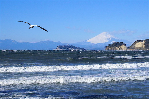 160119���ں³����ٻλ�1