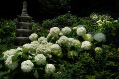 140702Ĺë����������1���ʥ٥�