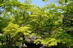 130415�߳л�����3