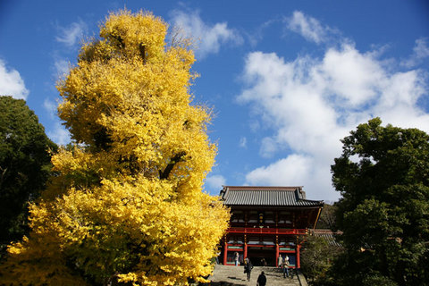 081206�ᲬȬȨ�ܲ���1