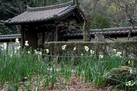 110129��������������