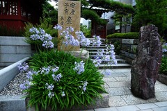 130703�繪�������ѥ󥵥�