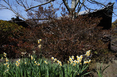 12012����������������