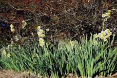 140119����������������